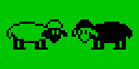 sheep